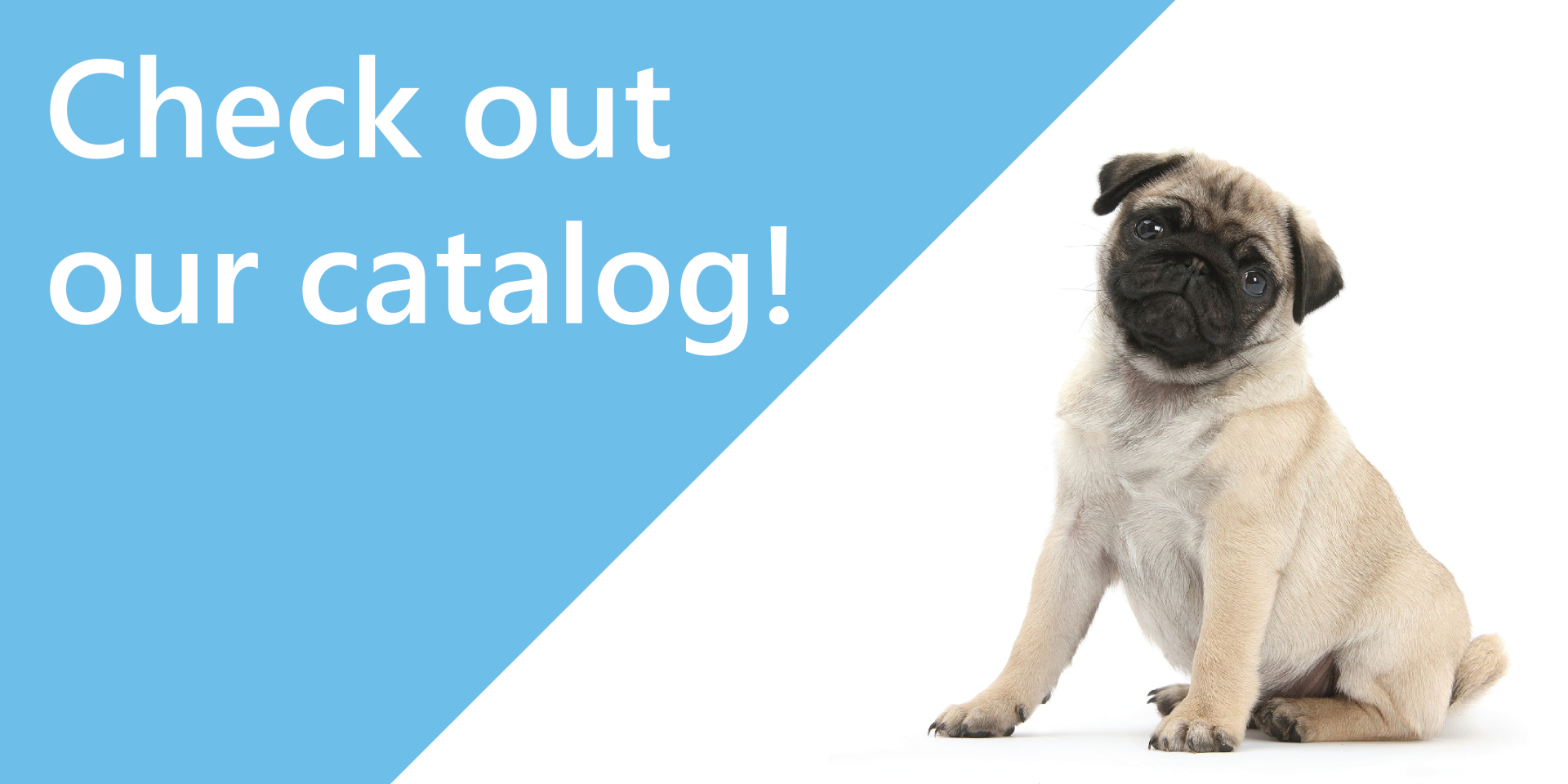 Check Out Catalog