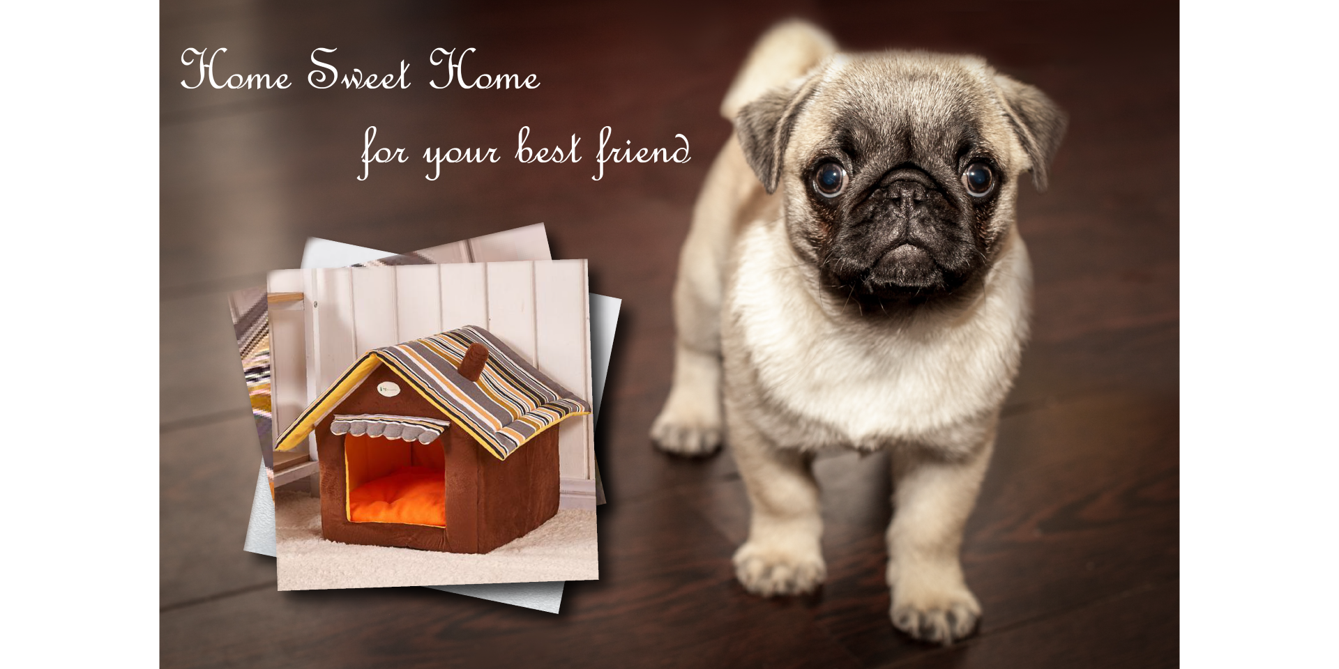 Pug Home