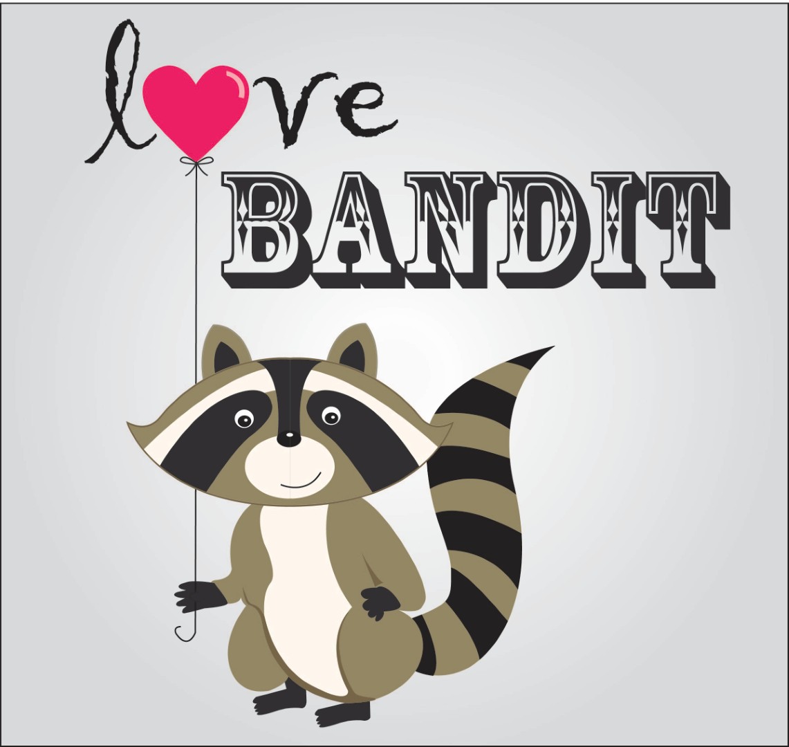 Raccoon Illustration